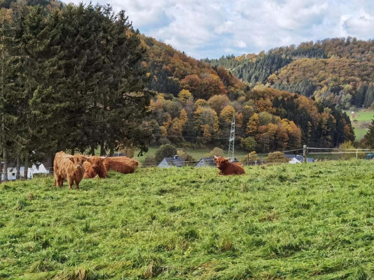 Ferienhaus Waldblick Hohenfels-Essingen المظهر الخارجي الصورة