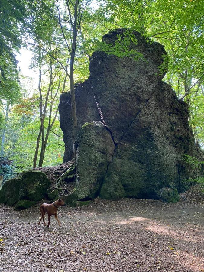 Ferienhaus Waldblick Hohenfels-Essingen المظهر الخارجي الصورة
