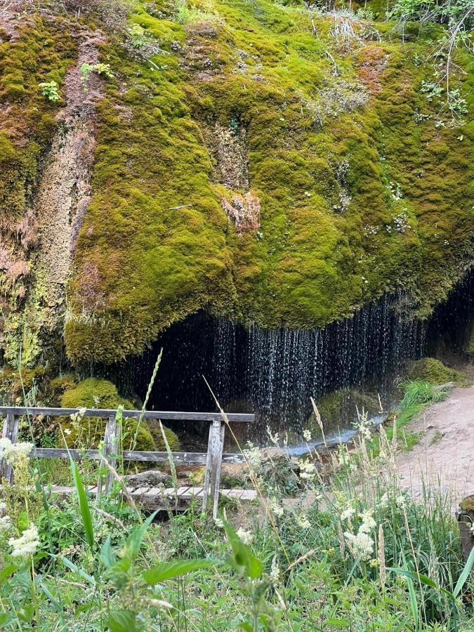 Ferienhaus Waldblick Hohenfels-Essingen المظهر الخارجي الصورة